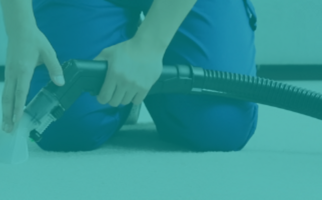 Faciles à utiliser et à entretenir, nos centrales vapeur et nettoyeurs vapeur sont les choix idéaux pour les tâches de nettoyage les plus exigeantes. Commandez dès maintenant et bénéficiez de la livraison rapide et fiable. Faciles à utiliser et à entretenir, nos centrales vapeur et nettoyeurs vapeur sont les choix idéaux pour les tâches de nettoyage les plus exigeantes. Commandez dès maintenant et bénéficiez de la livraison rapide et fiable.