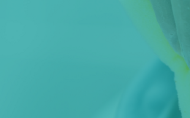 Choisissez l'éponge ou l'abrasif qui convient le mieux à votre usage et améliorez l'efficacité de votre processus de nettoyage. Choisissez l'éponge ou l'abrasif qui convient le mieux à votre usage et améliorez l'efficacité de votre processus de nettoyage.