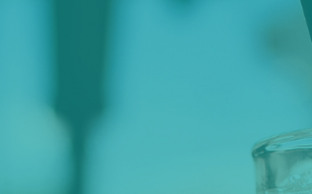 Trouvez l'essentiel du matériel et des accessoires de bar pour un service de qualité avec le Groupe PLG Trouvez l'essentiel du matériel et des accessoires de bar pour un service de qualité avec le Groupe PLG
