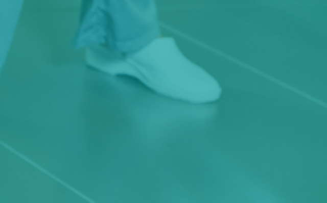 Des sabots confortables et résistants pour les professionnels exigeants. Des sabots confortables et résistants pour les professionnels exigeants.