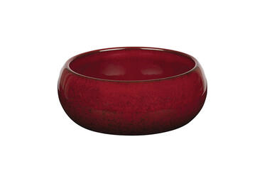 BOL CARMIN GOURMET D11,5CM