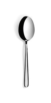 CUILLERE DE SERVICE 23,5CM