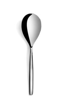 CUILLERE DE SERVICE 28,7CM