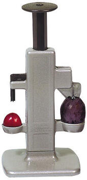 STEINEX COMBI DÉNOYAUTEUR À PRUNES ET CERISES INOX