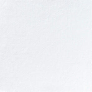 SERVIETTE 40X40CM OUATE 2 PLIS BLANC X1200