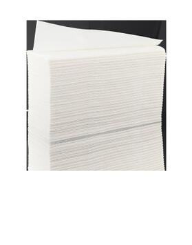 ESSUIE-MAINS PLIÉS EN Z TECHLINE BLANC 20X24CM 200 FORMATS 2 PLIS ECOLABEL X15
