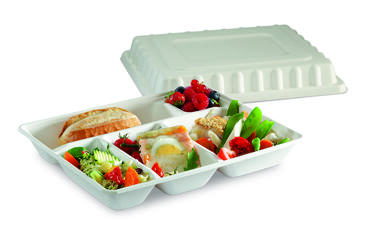 PLATEAU-REPAS BAGASSE 5 COMPARTIMENTS 29,5X24X4CM BLANC X200