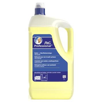 DETERGENT SOLS ET SURFACES P&G PROFESSIONNEL 5L