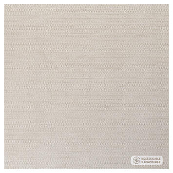 SERVIETTE 40X40CM NON TISSÉ CELYTISS CHATAIGNE X400