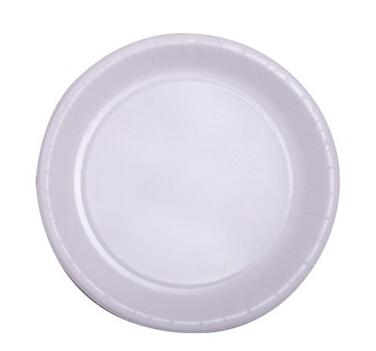 ASSIETTE RONDE CARTON Ø22CM BLANC X800
