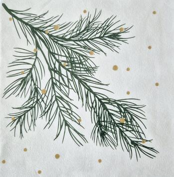 SERVIETTE 40X40CM NON TISSÉ CELYTISS EPICEA X40