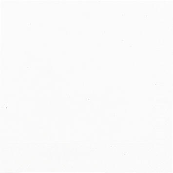 SERVIETTE 33X33CM OUATE 3 PLIS BLANC X500