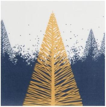 SERVIETTE 38X38CM OUATE GAUFRÉE CELI-OUATE 2 PLIS LUMIERE DE LA NUIT X50