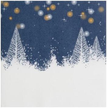 SERVIETTE 40X40CM NON TISSÉ CELISOFT LUMIERE DE LA NUIT X50
