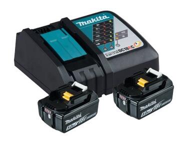 PACK ENERGIE 18 V LI-ION 2 BATTERIES + 1 CHARGEUR SIMPLE
