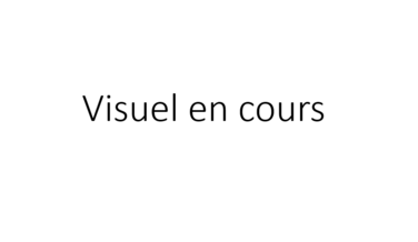 BAVETTE ROUGE SPECIALE MILIEU HUMIDE