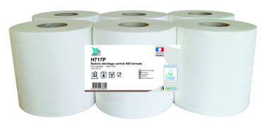 BOBINE DEVIDAGE CENTRAL BLANC 450 FORMATS 2 PLIS 17,5X18CM ECOLABEL X6