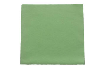 LAVETTE NON TISSEE EVOLON 130 40X42CM VERT X5