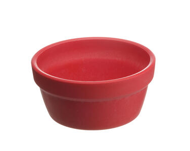 LILITOUCH RAMEQUIN 45 CL ROUGE