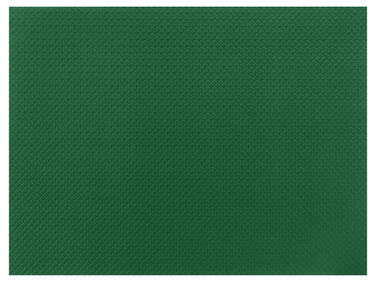 SET DE TABLE EN PAPIER VERT LUMIÈRE 30X40CM X500