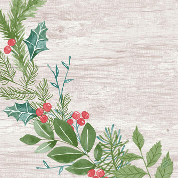SERVIETTE 40X40CM NON TISSÉ DUNISOFT WINTER GREENE X360