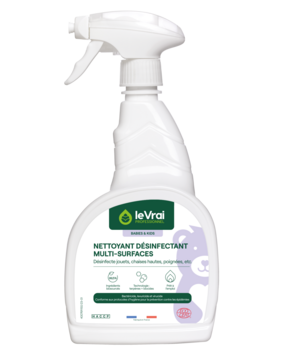 DETERGENT DESINFECTANT MULTI SURFACES BABIES & KIDS 750ML