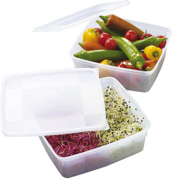 SOUPLES BACS GN 1/8 162X132X45MM AVEC COUVERCLES X10