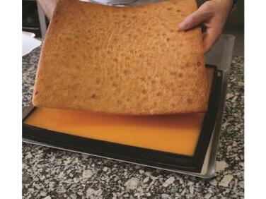 FLEXIPAN ENTREMETS 55,5X36X1 CM