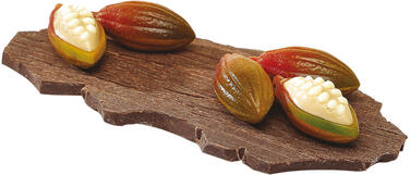 PLAQUE 275X205 POUR 24 CABOSSES CACAO