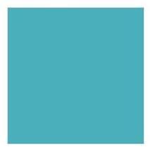 SERVIETTE 38X38CM OUATE TECHLINE 2 PLIS BLEU CARAIBE X2400