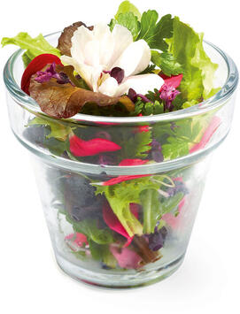 AROME VERRINE 19 CL Ø 8 CM