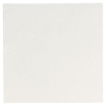 SERV 20X20 PAPIER 2PLIS BLANC C/24X100