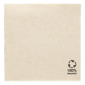 SERV 20X20 PAPIER 2PLIS KRAFT C/24X100