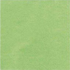 SERVIETTE 38X38CM OUATE GAUFRÉE 2 PLIS VERT PISTACHE X900