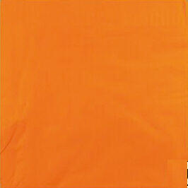 SERVIETTE 33X33CM OUATE 2 PLIS MANDARINE X1200
