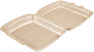 BOÎTES LUNCH EN PPE AVEC COUVERCLE ARTICULÉ 24 X 20,7 HAUTEUR 6,8 CM X130