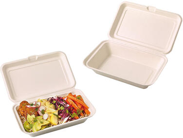 BOÎTES LUNCH FIBRE AVEC COUVERCLE ARTICULÉ 1 COMPARTIMENT 250X160X60 MM X500