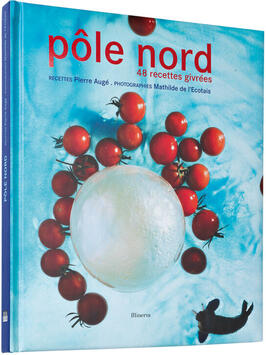 LIVRE DE CUISINE PÔLE NORD 48 RECETTES GLACÉES