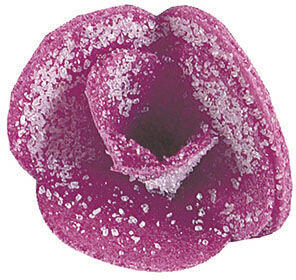 DÉCORS EN PAIN AZYME, VIOLETTES CRISTALLISÉES Ø 20 MM X100
