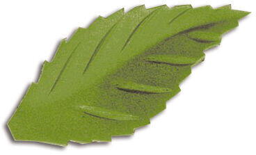 DÉCORS EN PAIN AZYME, FEUILLES DE ROSE VERT FONCÉ 38 MM X500