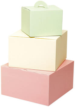 BOÎTES ISOLANTES À VACHERIN EN PSE VANILLE 200X200X130 MM X25