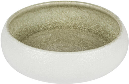 SAVEURS BOL BLANC/OLIVE Ø 19,5 CM