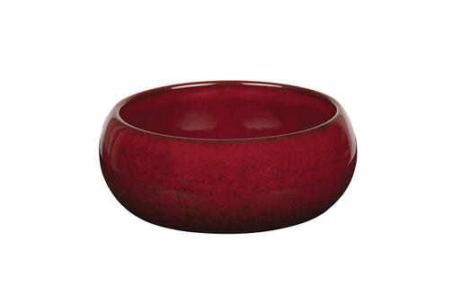 BOL CARMIN GOURMET D11,5CM