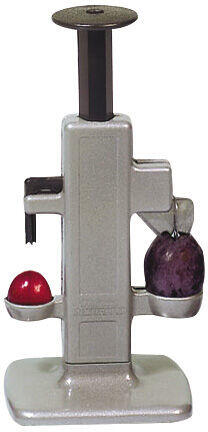 STEINEX COMBI DÉNOYAUTEUR À PRUNES ET CERISES INOX