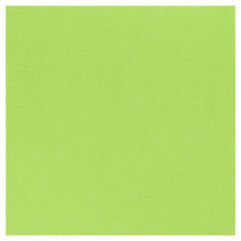 SERVIETTE 38X38CM OUATE GAUFRÉE CELI-OUATE 2 PLIS PISTACHE X900