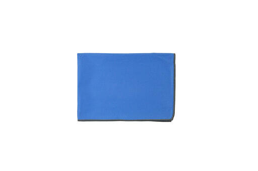 TORCHON MICROFIBRE 65X45CM BLEU