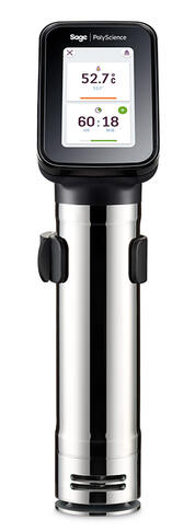 THERMO-PLONGEUR HYDROPRO PRÉCISION 0.1 °C