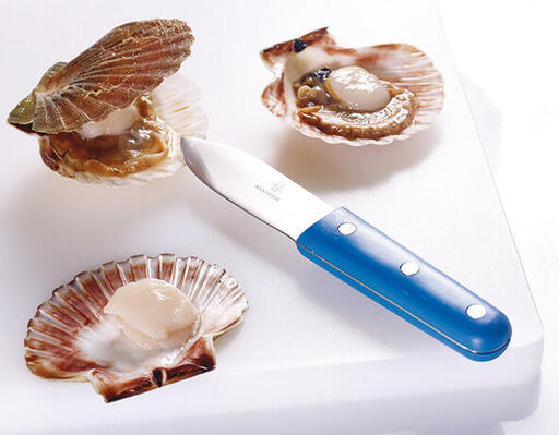 COUTEAU À COQUILLE SAINT JACQUES BLEU