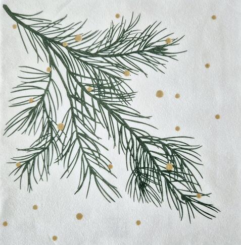 SERVIETTE 40X40CM NON TISSÉ CELYTISS EPICEA X40