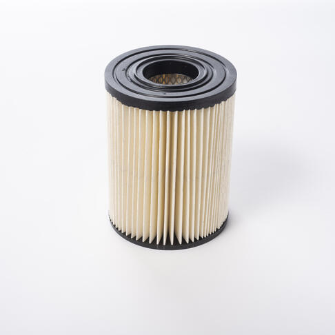 FILTRE A CARTOUCHE HEPA H14 POUR ASPIRATEUR AS27
